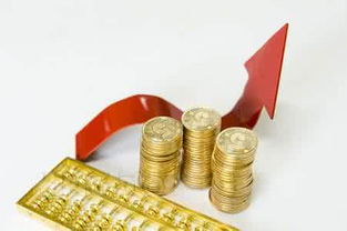 北京實業(yè)投資的可靠性與收益前景分析